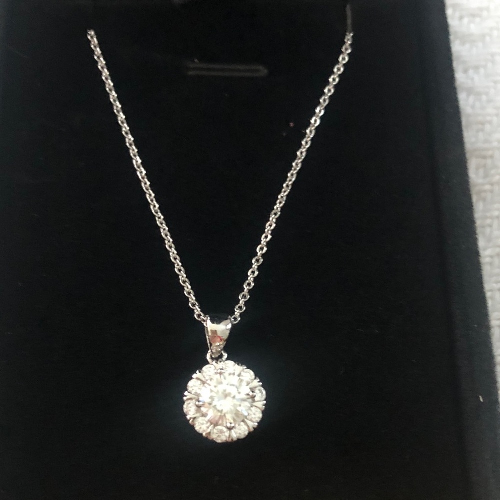 1.0 ct Moissanite Halo Pendant Necklace -S925 Sterling Silver